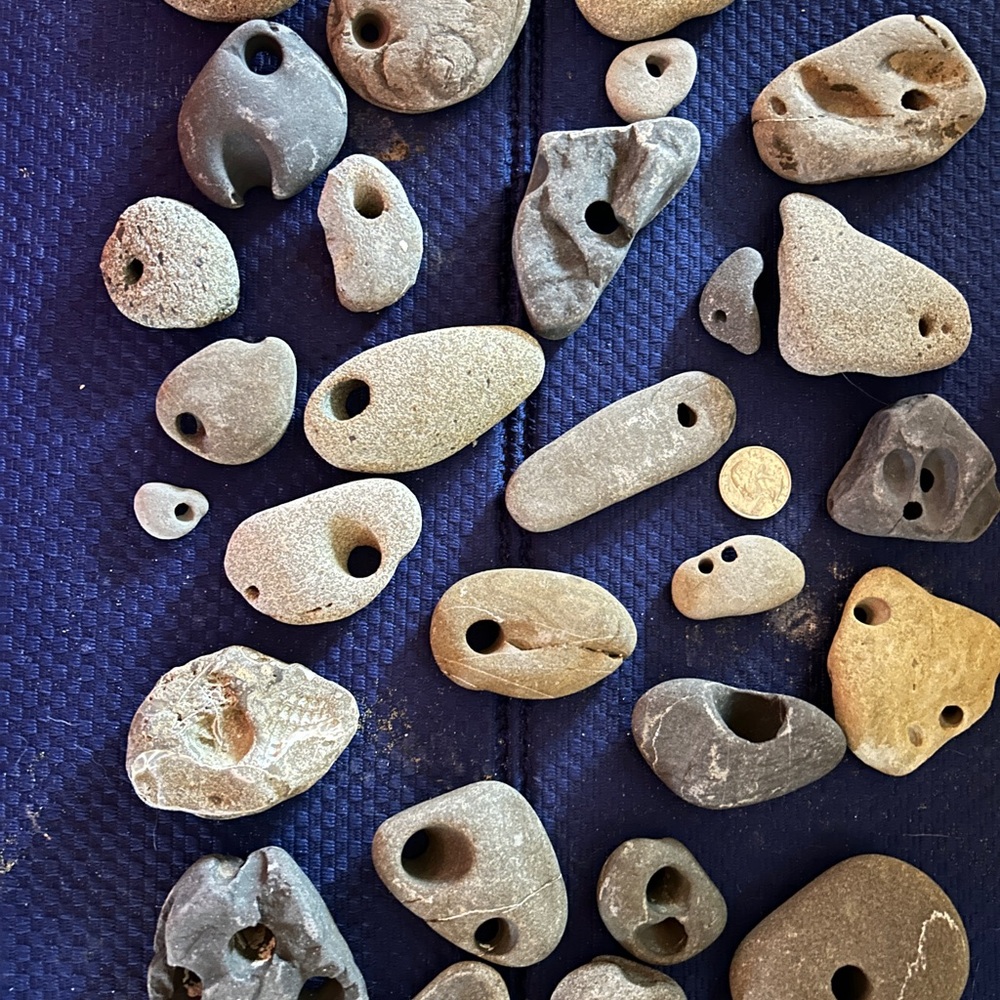 Collection of Natural Hag Stones/ price is for one.